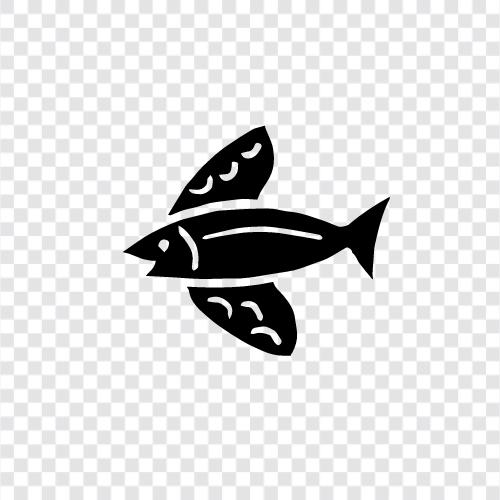 Fische, Aquarium, Salzwasser, Riff symbol