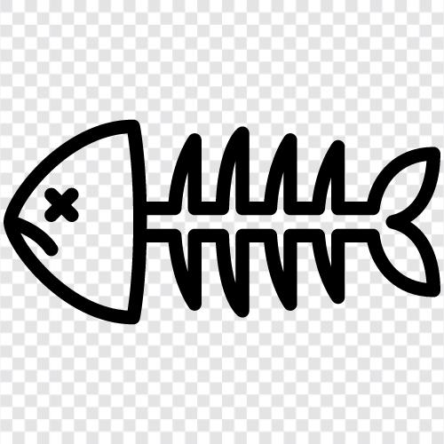 Fischskelett symbol