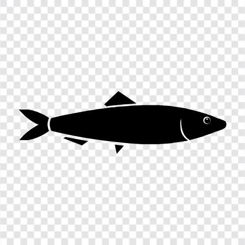 fishing, seafood, canned, smoked icon svg