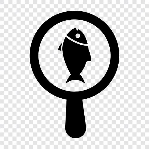 fishing, fishing tips, fishing equipment, fishing maps icon svg