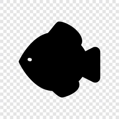 fishing, fishing bait, fishing poles, fishing tackle icon svg