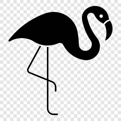 flamingo, bird, pink, nature icon svg