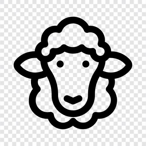 fleece, wool, lamb, mutton icon svg