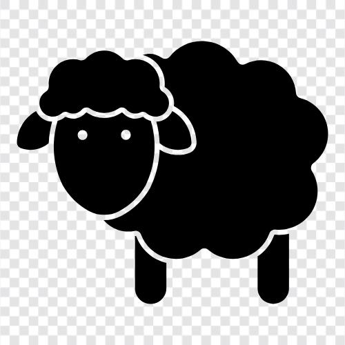 sürüler, wool, fleeces, lambs ikon svg