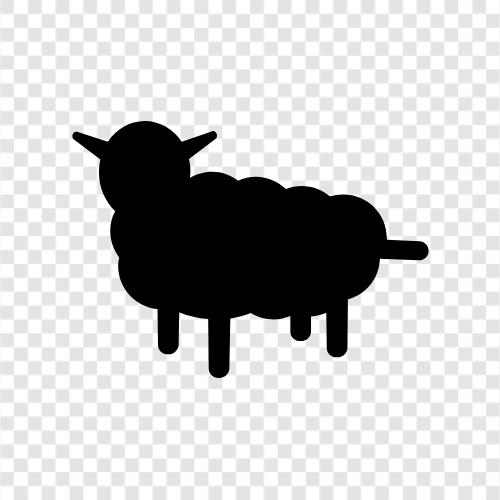 flocks of sheep, sheep farming, fleece, wool icon svg