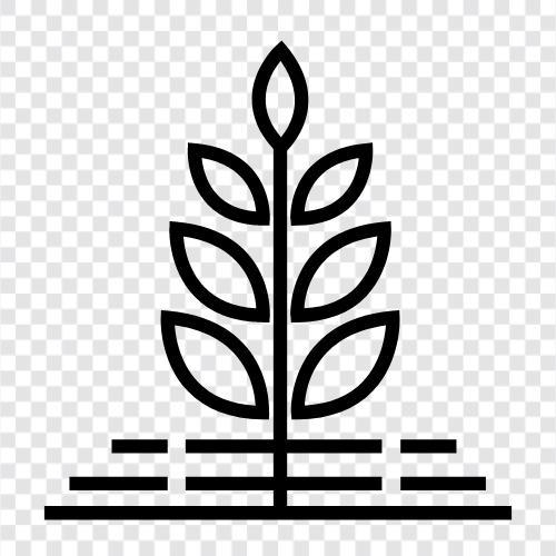 Flora, Botany, Plant Breeding, Plant icon svg