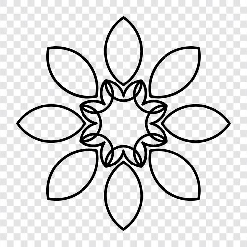 flora, plant, blooming, colours icon svg