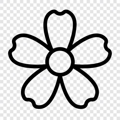Flora, Pflanzen, Gartenarbeit, Gartentipps symbol