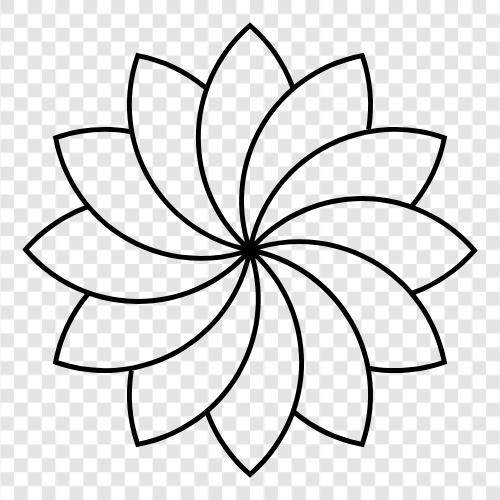 Blumenkohl symbol