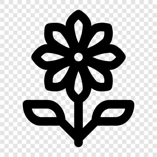 Floral, Bouquet, Garden, Bloom icon svg