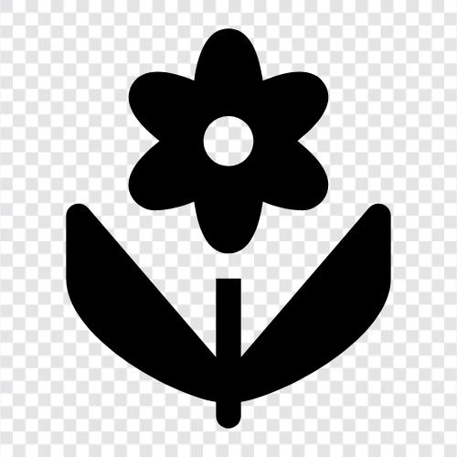 Blumen symbol