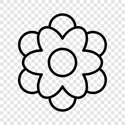 Floral, Bloom, Blooms, Plant icon svg