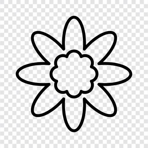 Floral, Bouquet, Bloom, Petal icon svg