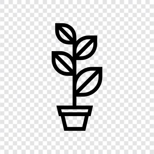 Floral, Garden, Botany, Fertilizer icon svg