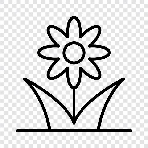 Blumenversand, Blumensträuße symbol