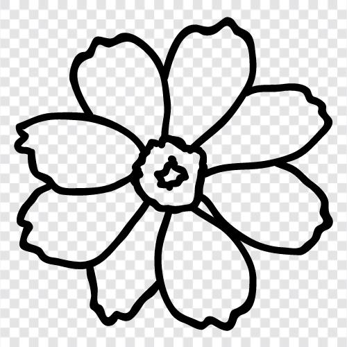 flower, garden, gardening, plants icon svg