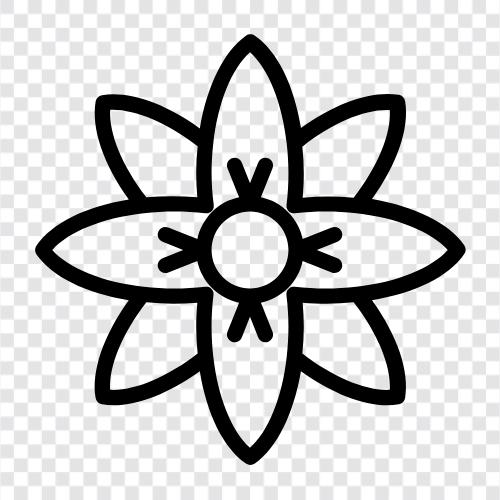 Blüten, Blütenblatt, Blütenblätter, Blütenblättchen symbol