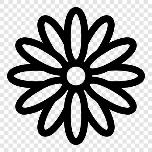 Blume, Haustier, Garten, Gänseblümchen symbol