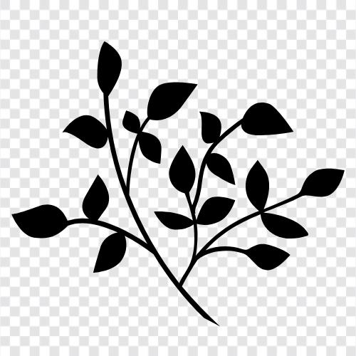 flower, gardening, dirt, leaves icon svg