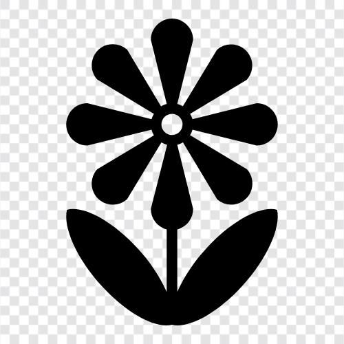 Blume, Pflanzen, Pflanzen zum Verkauf, Sukkulenten symbol
