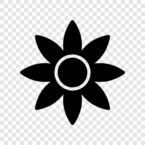 BlumenMädchen, Blumen, Blumenladen symbol