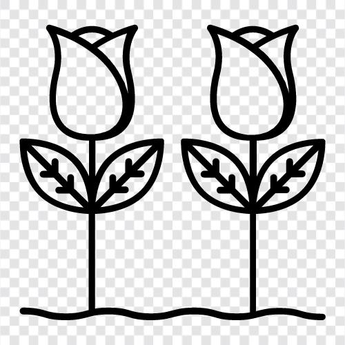 Blume, Pflanze, Blüte, Gartenarbeit symbol