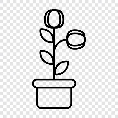 Blumentopf, Pflanzen, Topf, Garten symbol