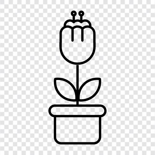 Blumentopf Pflanzer, Blumentopf Ideen, Blumentopf Verkauf, Blumentopf symbol
