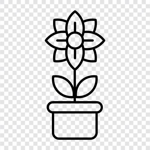 Blumentopf Pflanzer, Blumentopf Zubehör, Blumentopf Ideen, Blumentopf symbol