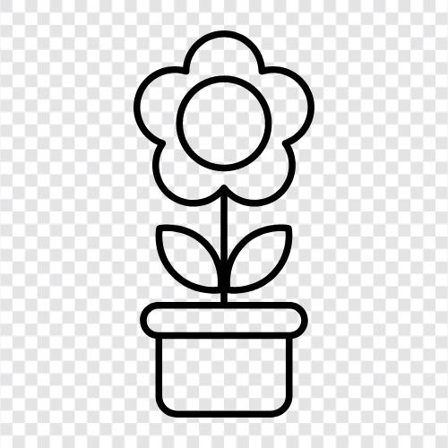 BlumentopfPflanzen, BlumentopfIdeen, BlumentopfLieferungen, Blumentopf symbol