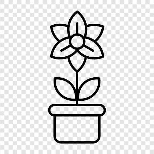 Flower Potting, Flower Planter, Container Gardening, Container Plants icon svg