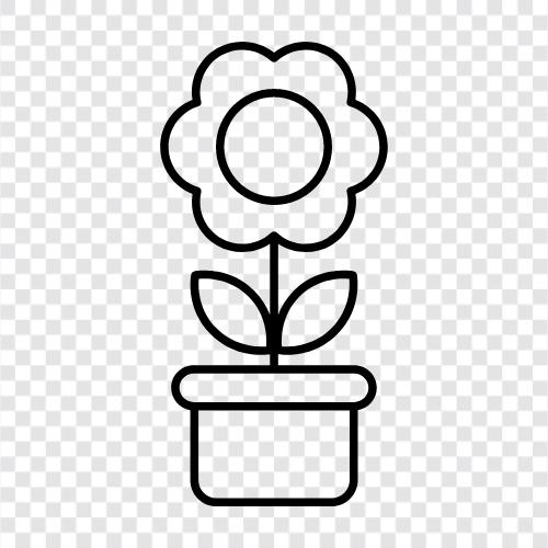 Blumentopf, Hauspflanze, Hauspflanzen, Blumengarten symbol
