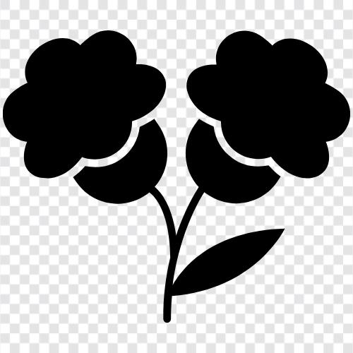 flower, garden, bloom, sunshine icon svg