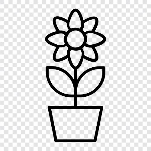 flowers, gardening, gardening tips, plants for sale icon svg