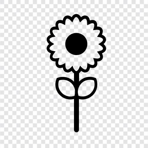 flowers, garden, gardening, blooming icon svg