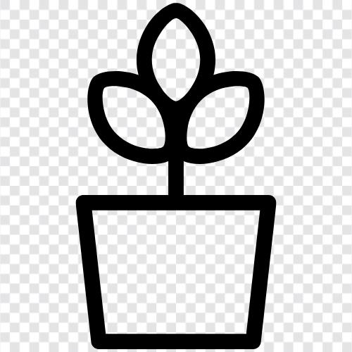 Flowers, Gardening, Plants, Plant icon svg