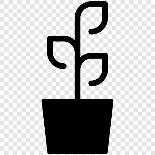 Çiçekler, Planting, Bahçecilik, Planting Flowers ikon svg