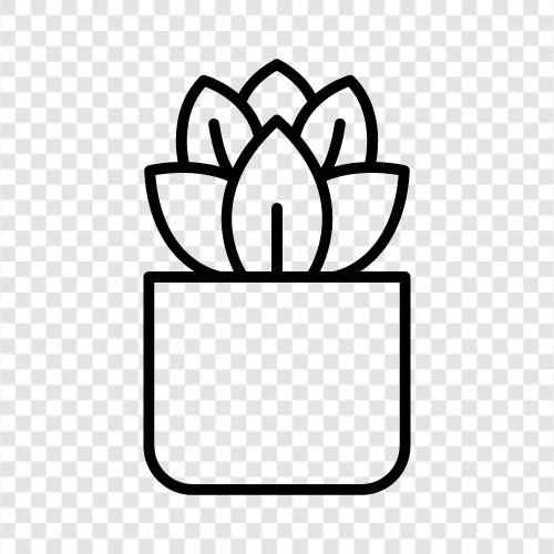 flowers, gardening, gardening tips, plants for sale icon svg