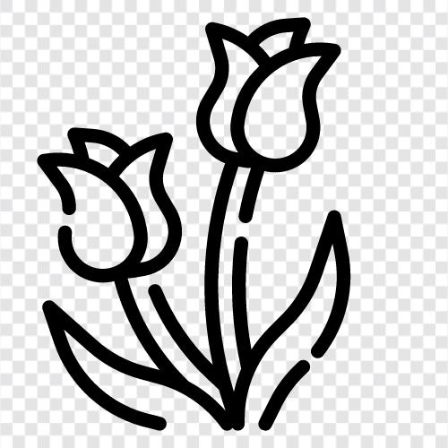 flowers, Dutch, tulipmania, florist icon svg
