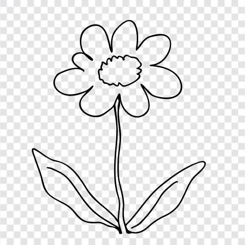 flowers, flowershop, garden, gardeners icon svg