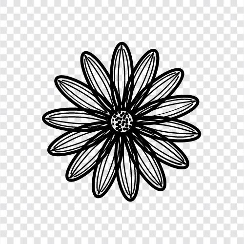 flowers, plant, grow, bloom icon svg