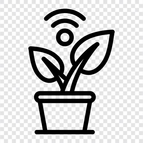 Flowers, Bloom, Planting, Gardening icon svg