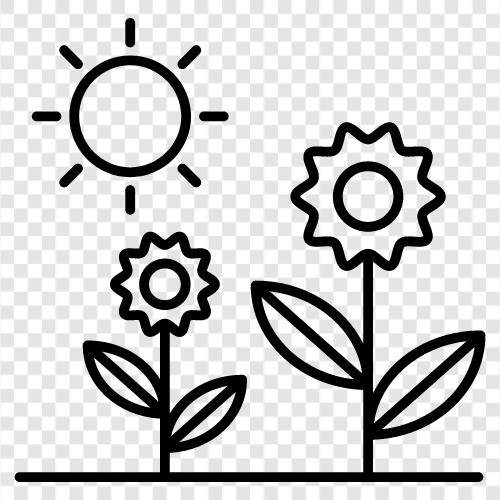 flowers, trees, springtime, sunshine icon svg