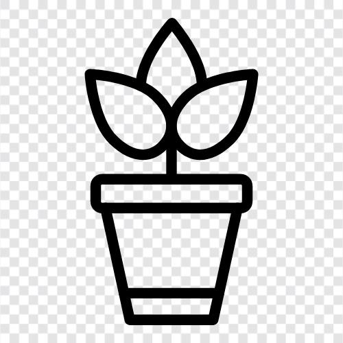 flowers, plants, gardening, garden icon svg