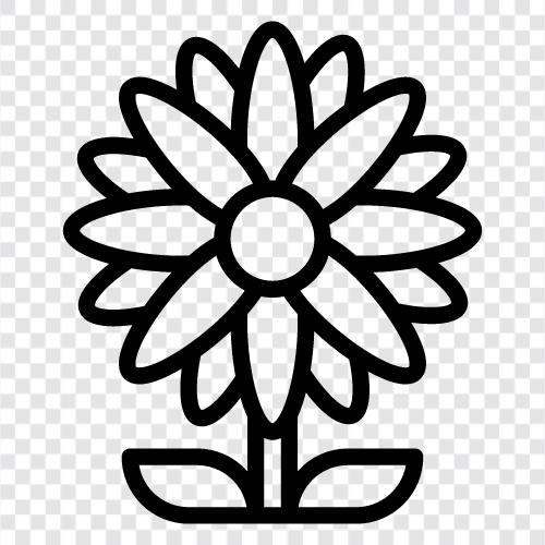 flowers, garden, botany, plants icon svg