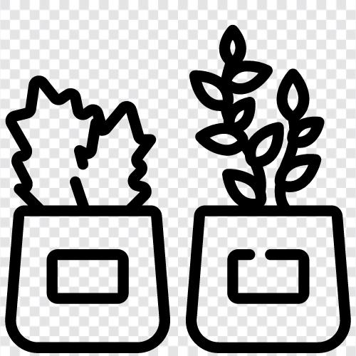 flowers, gardening, gardening tips, plants for a beginner icon svg