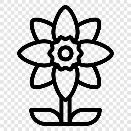 Blumen, gelb, Frühling, Glühbirnen symbol