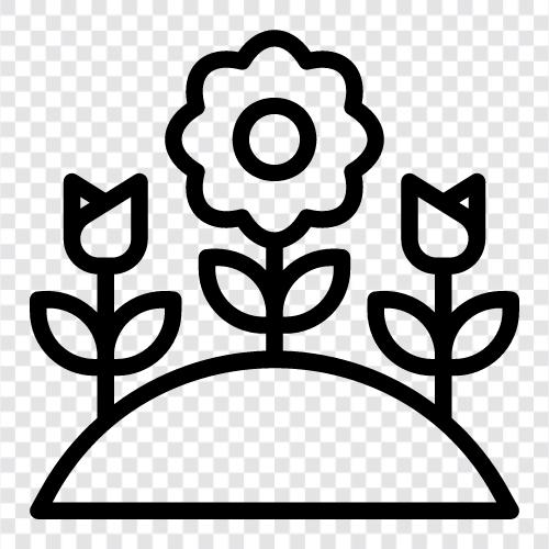 Flowers, Gardening, Houseplants, Vegetables icon svg
