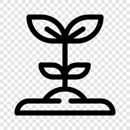 Flowers, Plant Species, Plant Images, Plant Picture icon svg