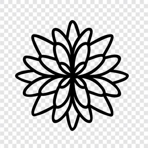 flowers, garden, plants, Hardy icon svg